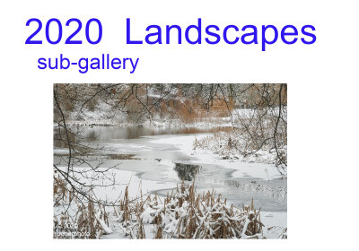 2020_landscapes