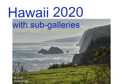 2020_hawaii