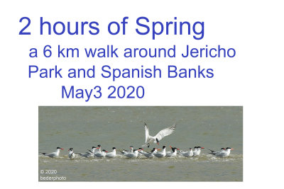 2_hours_of_spring