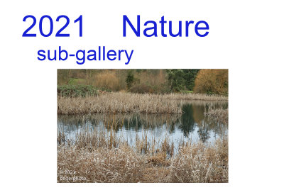2021_nature
