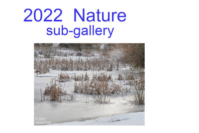 2022_nature