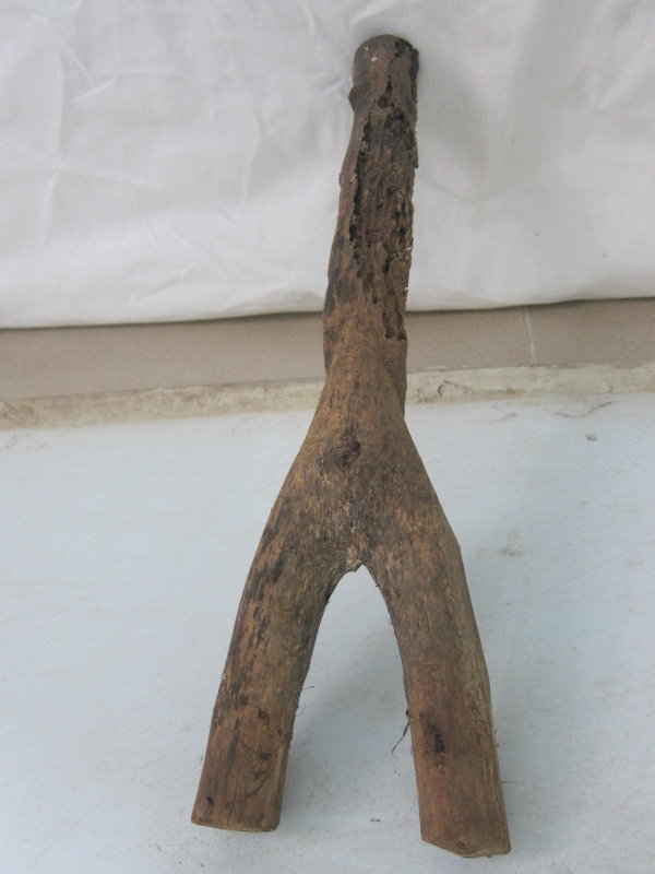 Ancestral Shrine Objects: The mythical ancestor of kinship origins