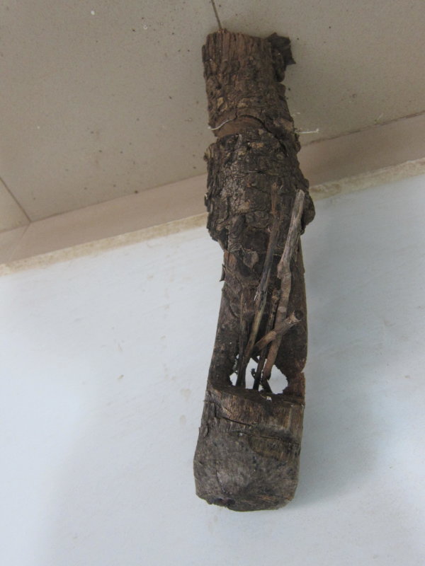 Ancestral Shrine Objects: A totemic pole of kinship origins.