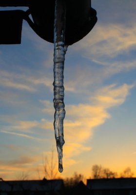 Ijspegel - icicle