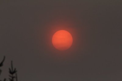 De zon was  vandaag oranje gekleurd dit kwam door saharazand en de rook van de bosbranden in Portugal en spanje . 17-10-2017 