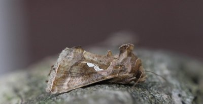 g12/27/1207627/3/170183854.DRLc2y8t.jpg