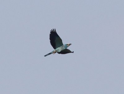 g12/27/1207627/3/171896253.SeaAIkqo.jpg