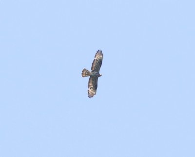 g12/27/1207627/3/171896650.HrKa7wZW.jpg