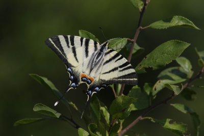 g12/27/1207627/3/172112776.eH87X6PL.jpg