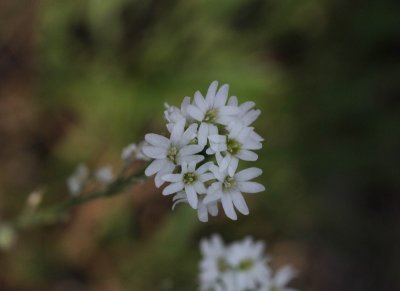 g12/27/1207627/3/172139975.5s1XMRl4.jpg