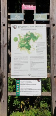 Białowieża Nationaal Park