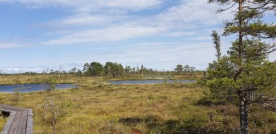 Soomaa Nationaal Park.