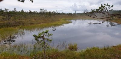 Soomaa Nationaal Park.