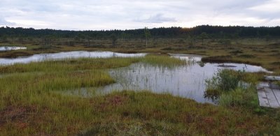 Soomaa Nationaal Park.