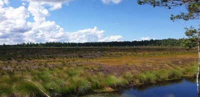 Lahemaa Nationaal park.