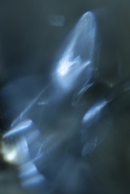 g12/27/1432427/3/169559919.rMJh4fhY.jpg