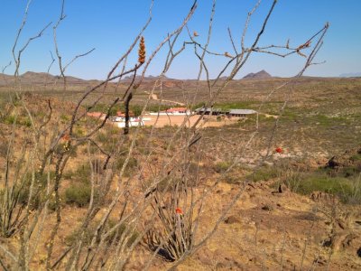 Saucedo complex in distance.