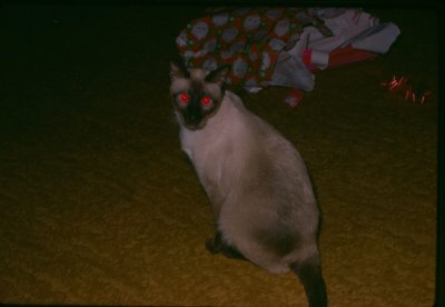 coco10_dec74.jpg