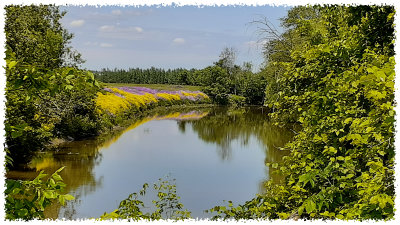 Best of Landscape