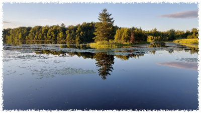 Best of Landscape
