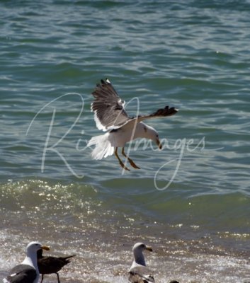 DSC_4991.jpg fix (Small).jpg