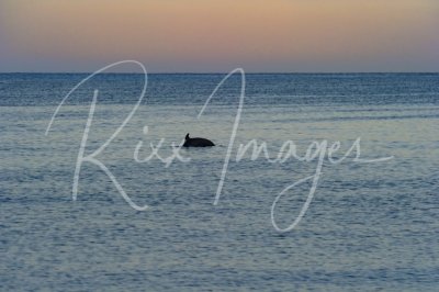 san_carlos_bahia_delphin_condo_247