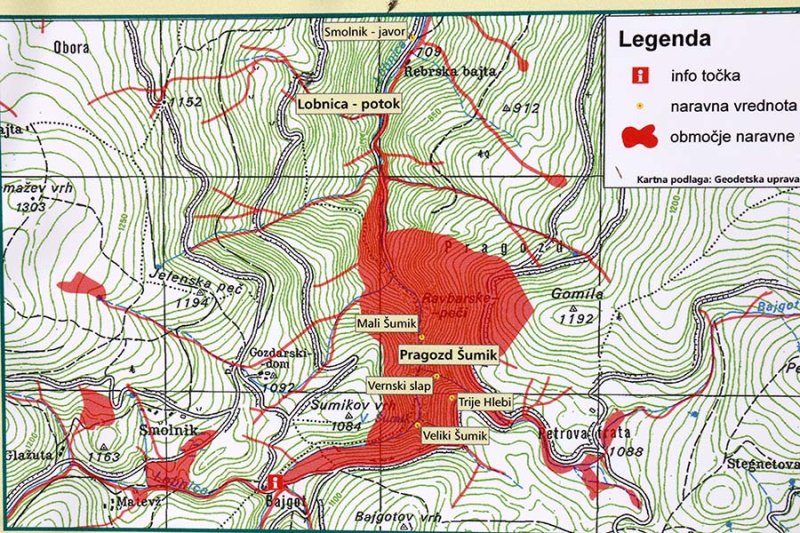 umik primeval forest  