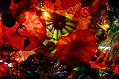 5-1-2019 Chihuly