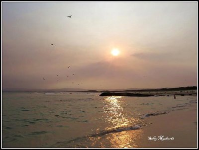 This shot was taken at Port Kembla Beach
near sunset.