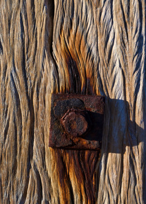 Detail from an old Groyne