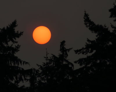 09-17-2020 sun through our smoky skies