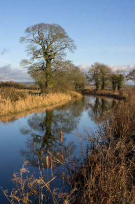 Tiverton Canal