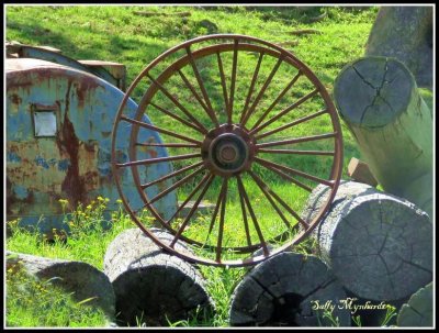 An old wheel on a farm road at Jamberoo.