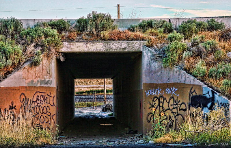 WALKING TUNNEL