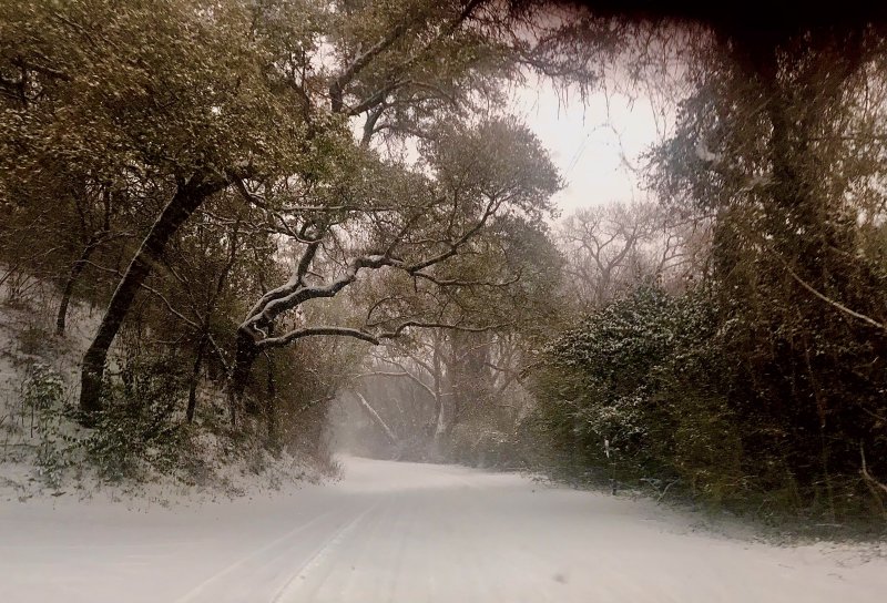 TEXAS SNOWMEGGEDON