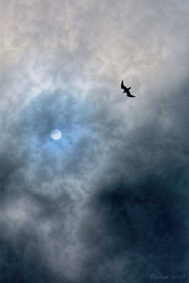 FLYING TO THE SUN