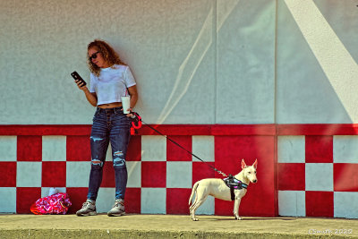 CHECKER BOARD