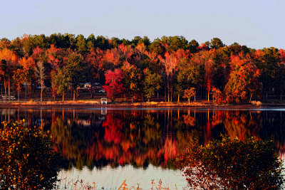 FALL AT MY NEW HOME