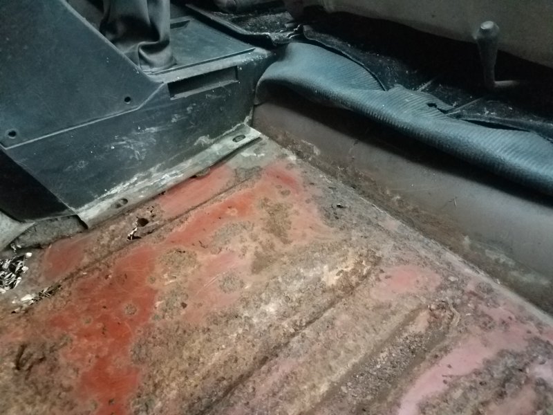 20201108_171607.jpg