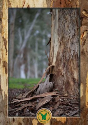 Wodonga City Parklands