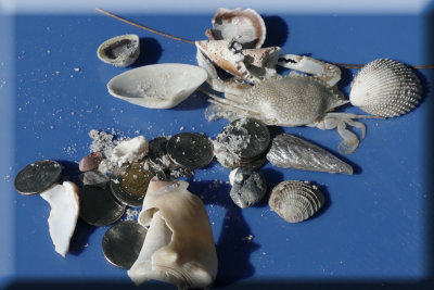 Pocket Contents After A Day At The Beach