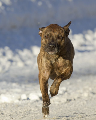 en course - full running