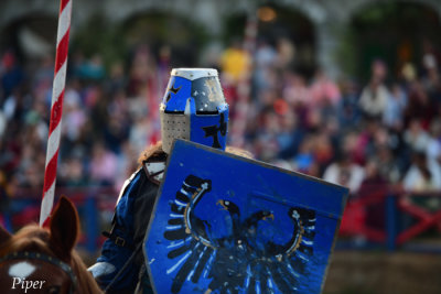 Texas Renaissance Festival Wk7 D2 11/17/2019