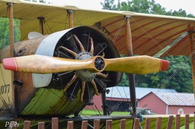 DSC_1059.jpg