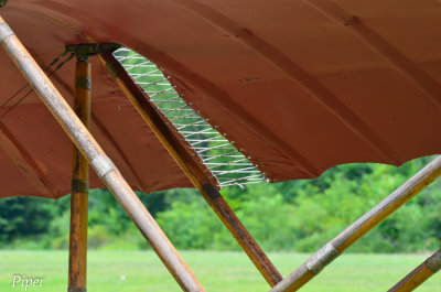 DSC_1078.jpg