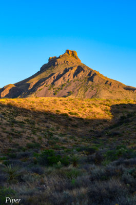 DSC_0007.jpg