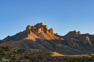 DSC_0010.jpg