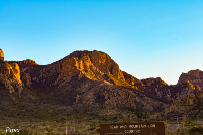 DSC_0016.jpg