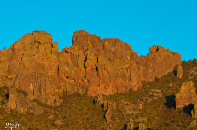 DSC_0024.jpg