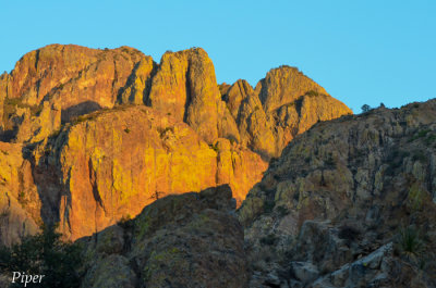 DSC_0025.jpg